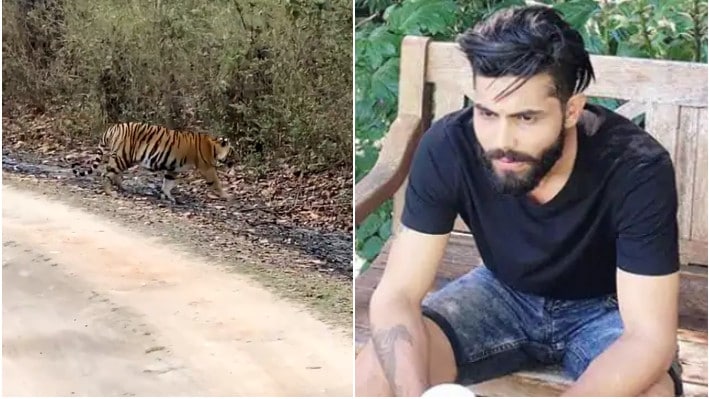 વાઘે રવિન્દ્ર જાડેજાને ઝડપી રિકવરી આપી, ઓલરાઉન્ડરે વિડિઓ પોસ્ટ કરી જણાવ્યું